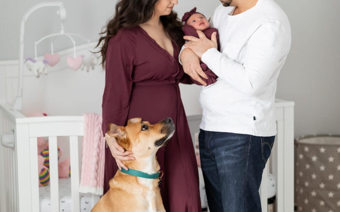 Welcome Your Baby Home with A Photography Session